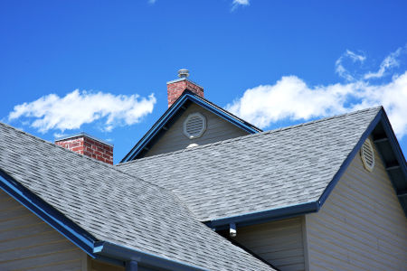 Roof Cleaning in Loxley AL